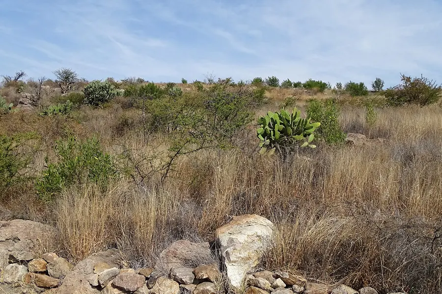 El Charco del Ingenio, San Miguel de Allende