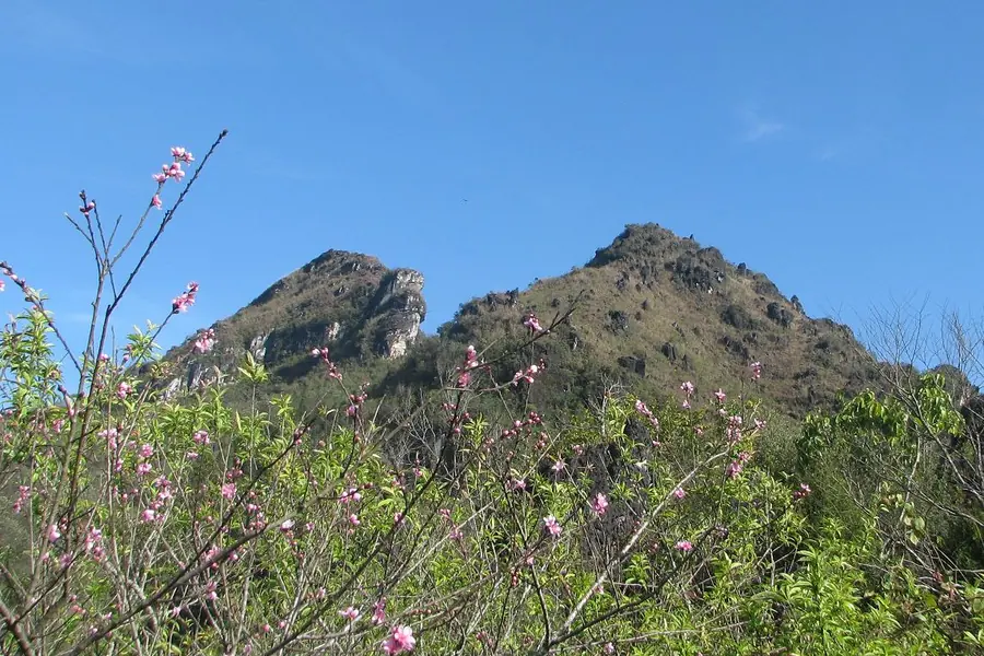 Ham Rong Mountain, Sapa