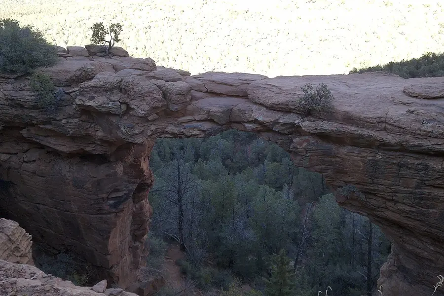 Devil's Bridge Trail, Sedona