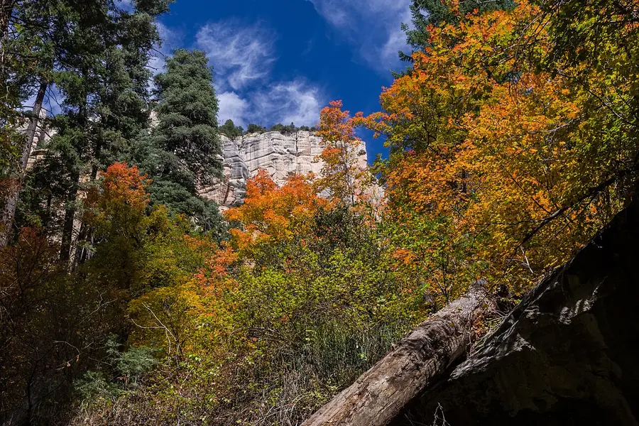 West Fork of Oak Creek Trail, Sedona