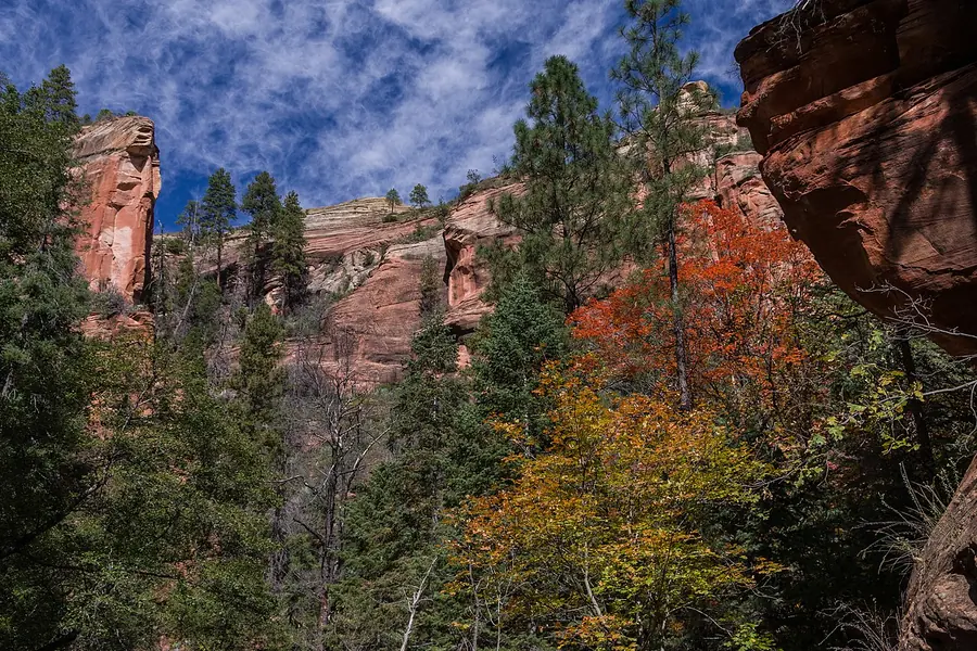 West Fork of Oak Creek Trail, Sedona