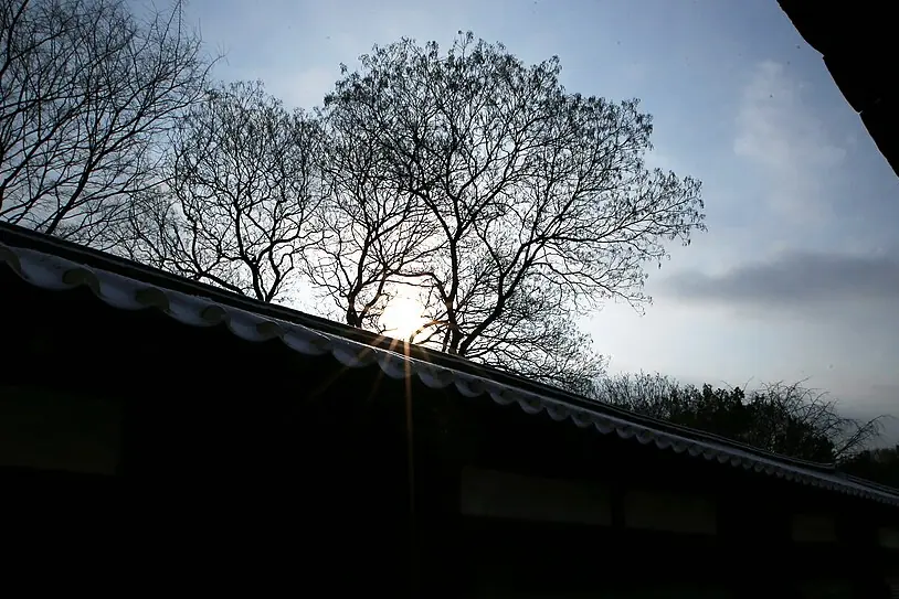 Changdeokgung Palace + Secret Garden, Seoul