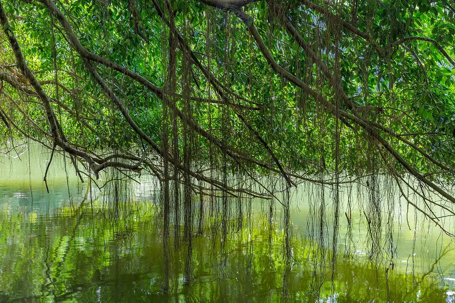 Singapore Botanic Gardens, Singapore