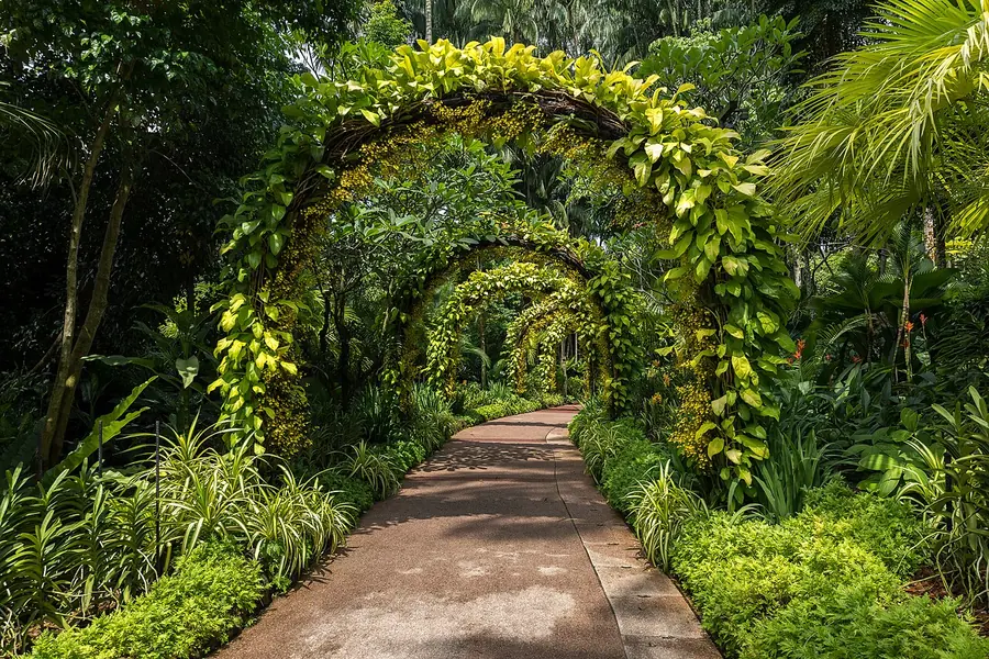 National Orchid Garden, Singapore