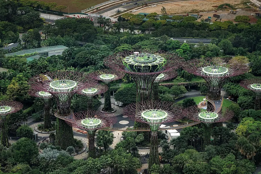 Supertree Grove, Singapore