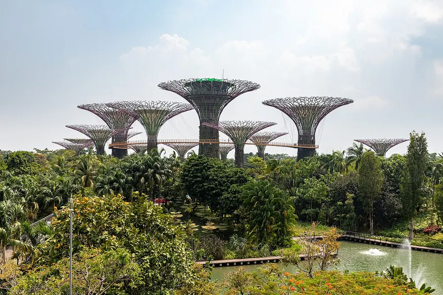 Supertree Grove, Singapore