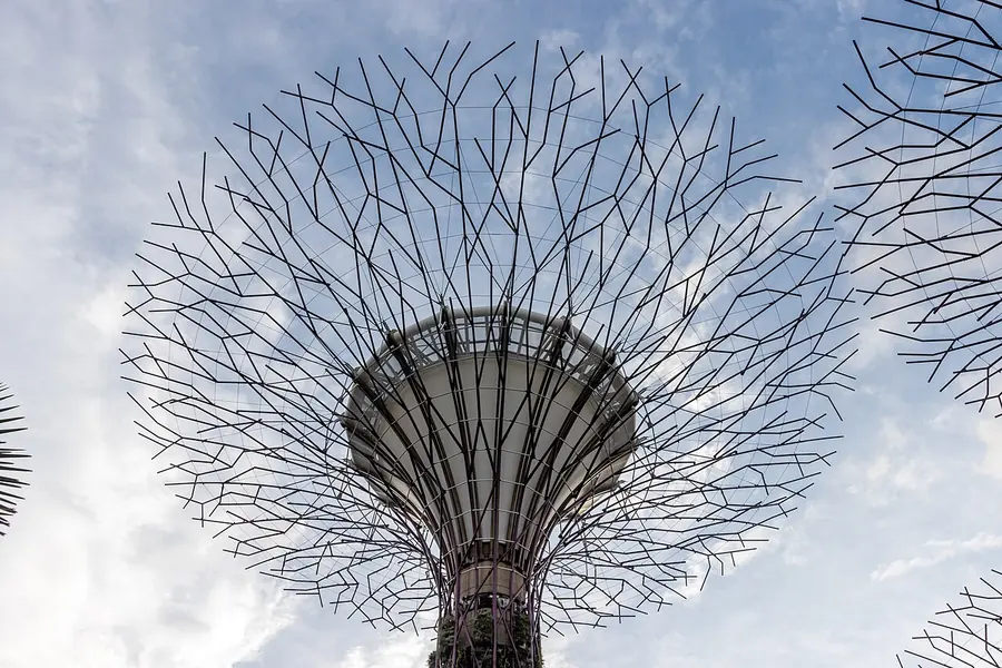 Supertree Grove, Singapore