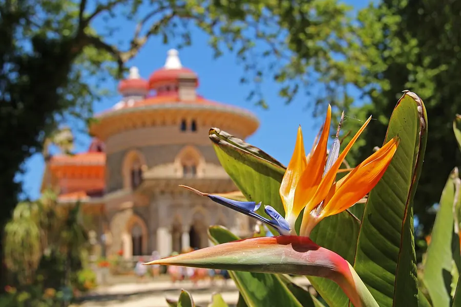 Monserrate Palace & gardens, Sintra