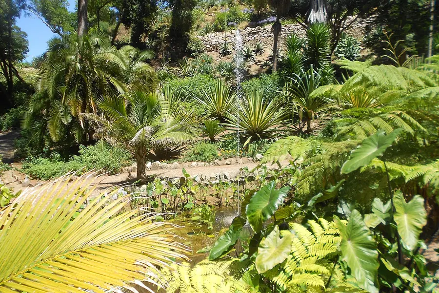 Monserrate Palace & gardens, Sintra