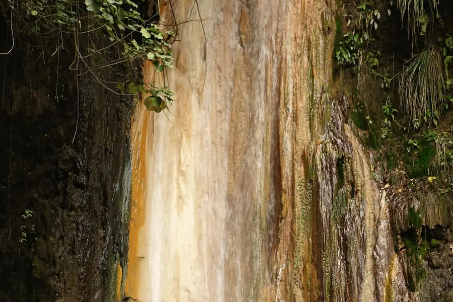 Diamond Falls Botanical Gardens, St Lucia