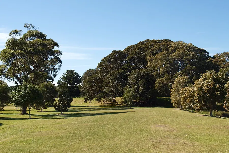 Centennial Park, Sydney