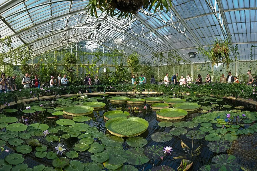 The Gardens, Tasmania