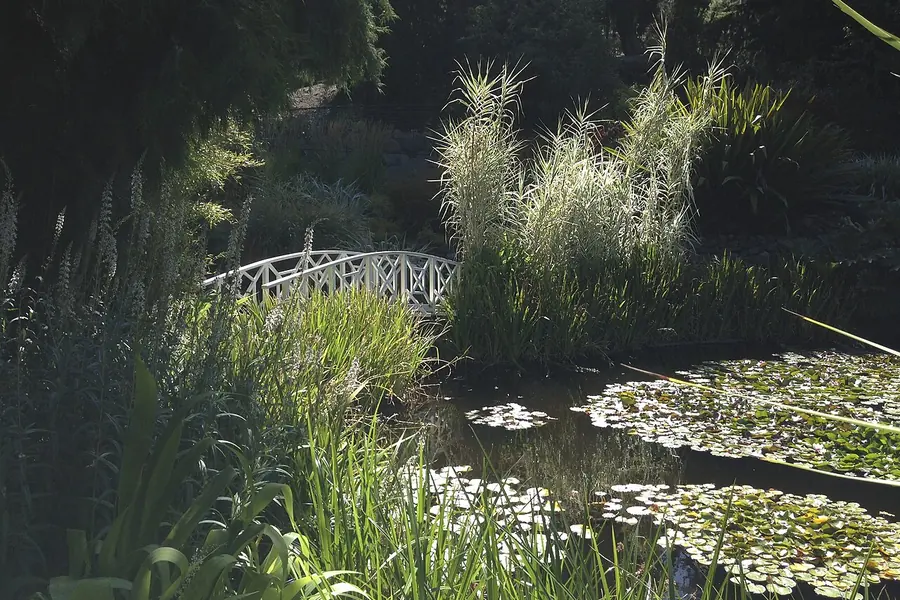 The Gardens, Tasmania