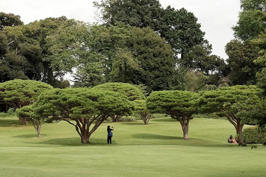 Shinjuku Gyoen National Garden, Tokyo