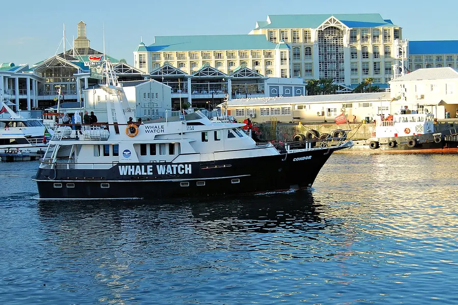 Whale Watching Tour, Victoria