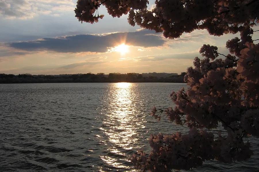 Tidal Basin at Sunset, Washington DC